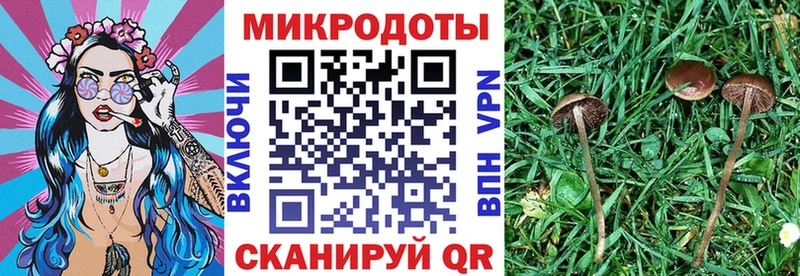 Галлюциногенные грибы GOLDEN TEACHER  Купить где  Калуга 